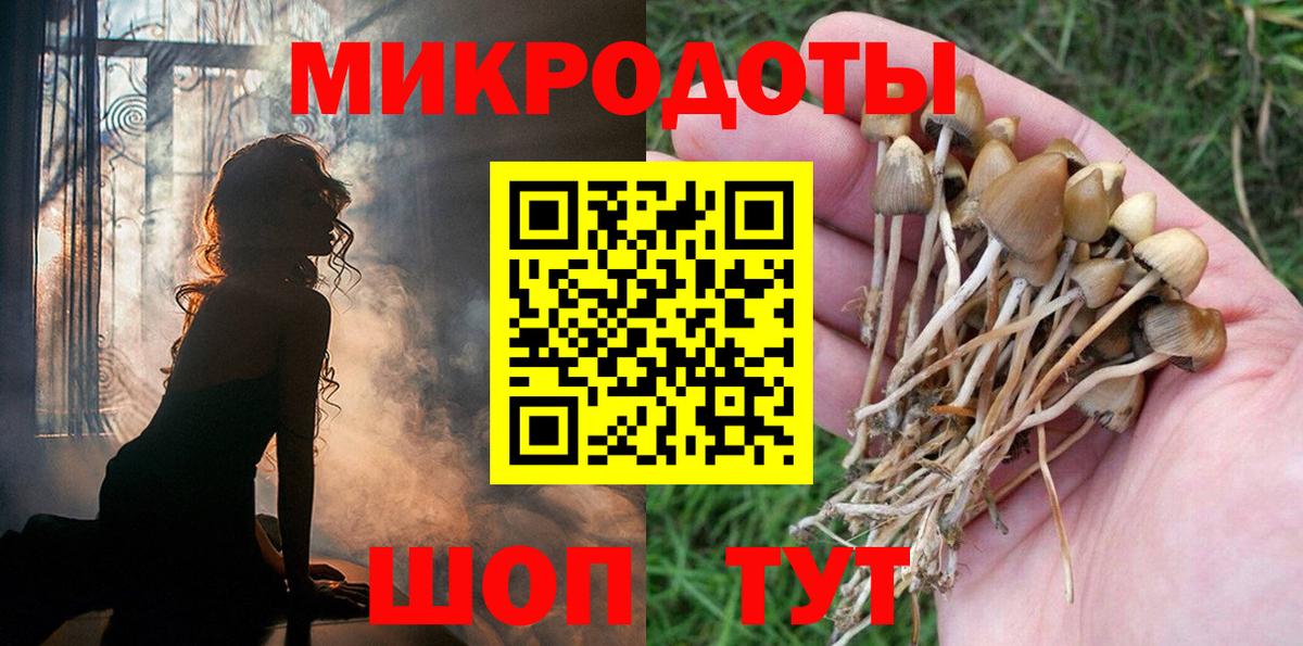 Псилоцибиновые грибы прущие грибы  Вход с VPN  Псилоцибиновые грибы Psilocybine cubensis  Ипатово 