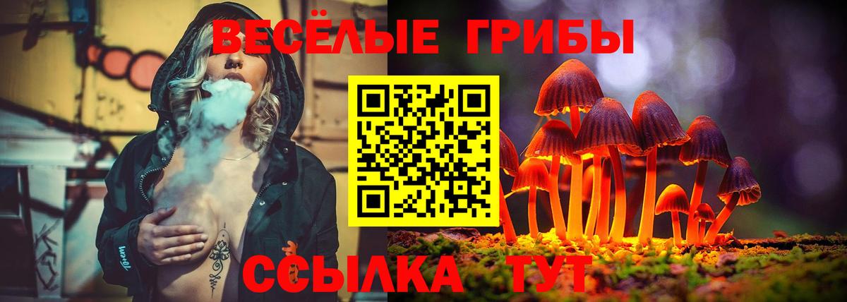Галлюциногенные грибы Psilocybine cubensis Ипатово
